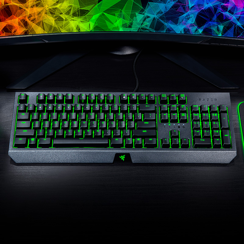 Razer BlackWidow Essential Mec - Gaming Keyboard Ergonomics recension och pris